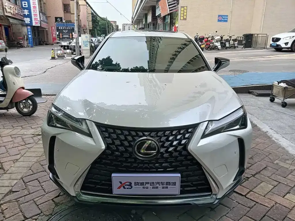Lexus UX 2021 из CN, фото 3