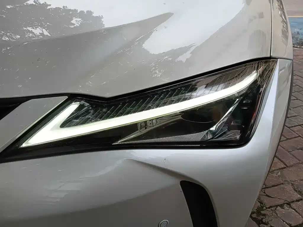 Lexus UX 2021 из CN, фото 6
