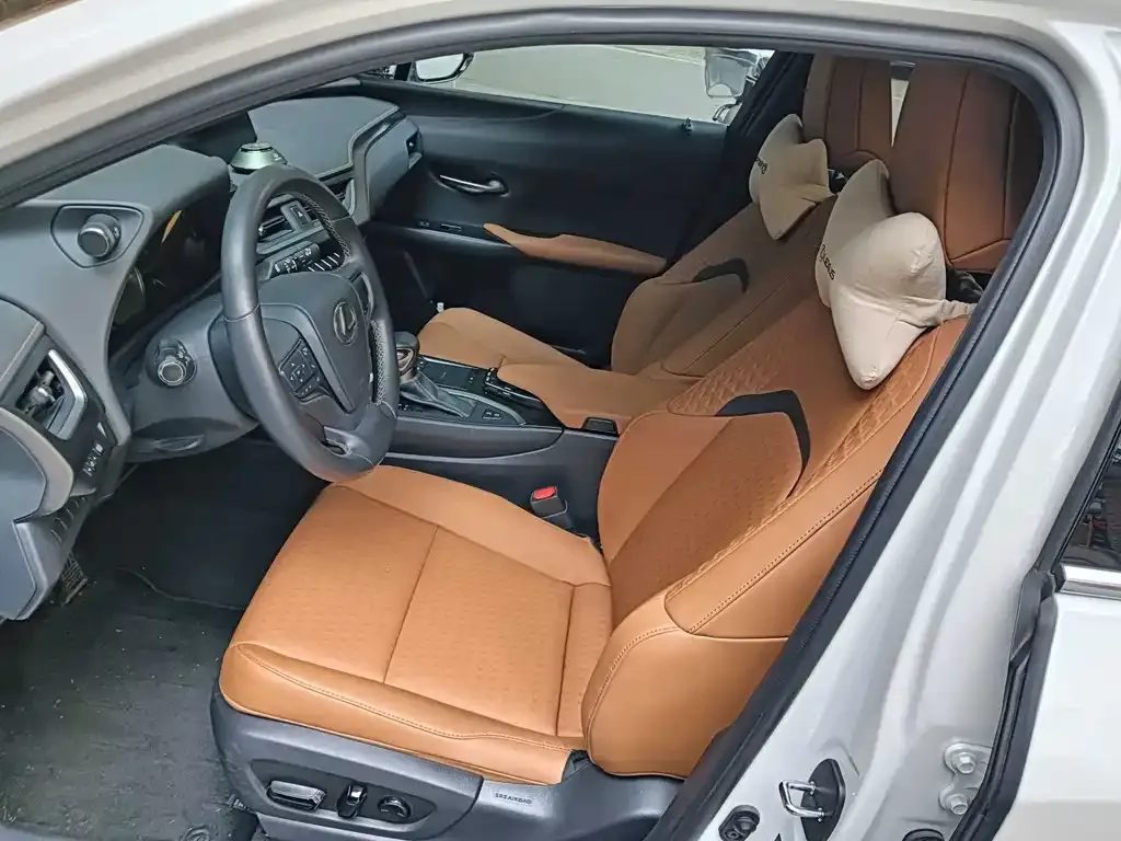 Lexus UX 2021 из CN, фото 9