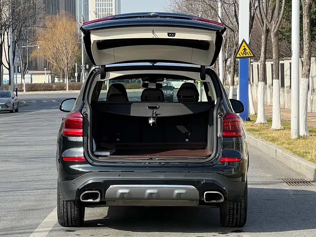 BMW X3 2021 из CN, фото 9