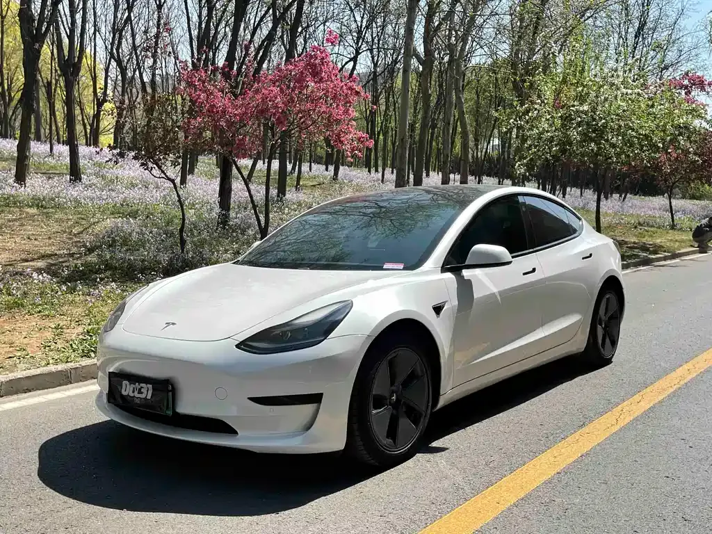 Tesla Model 3 — фото 1