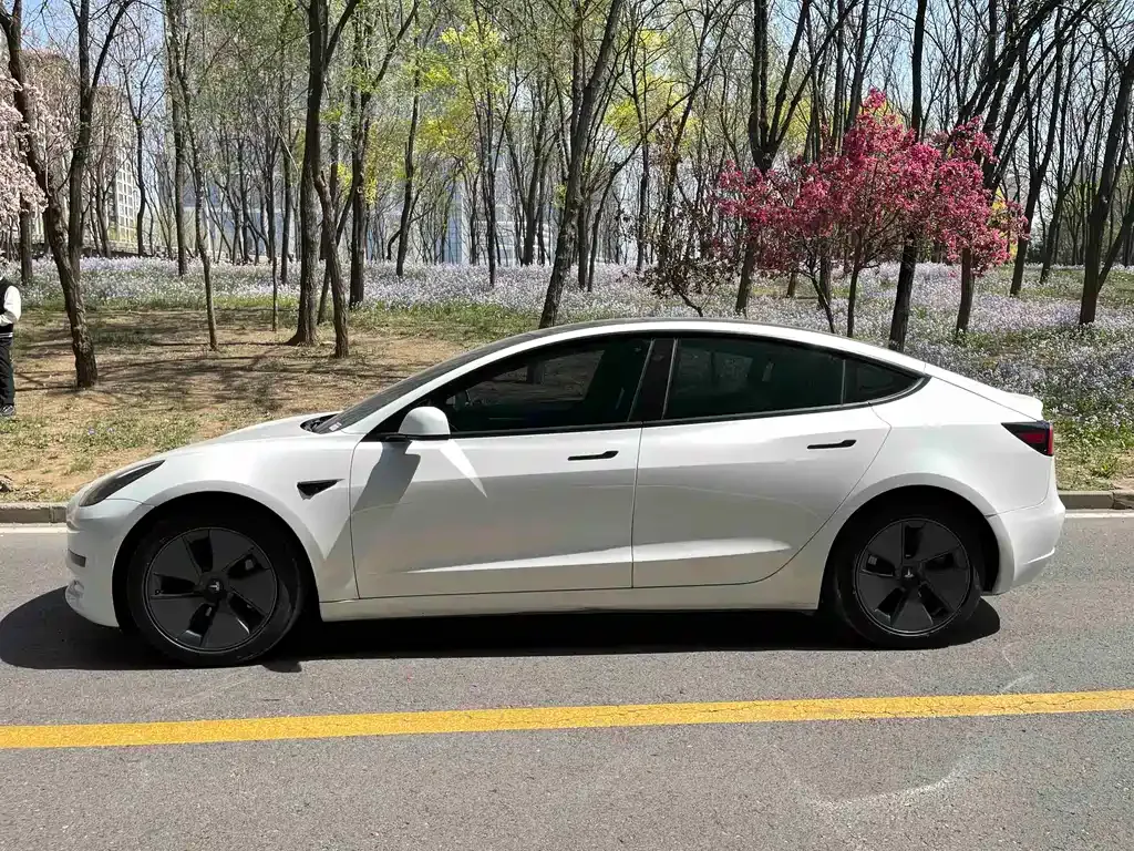 Tesla Model 3 — фото 7
