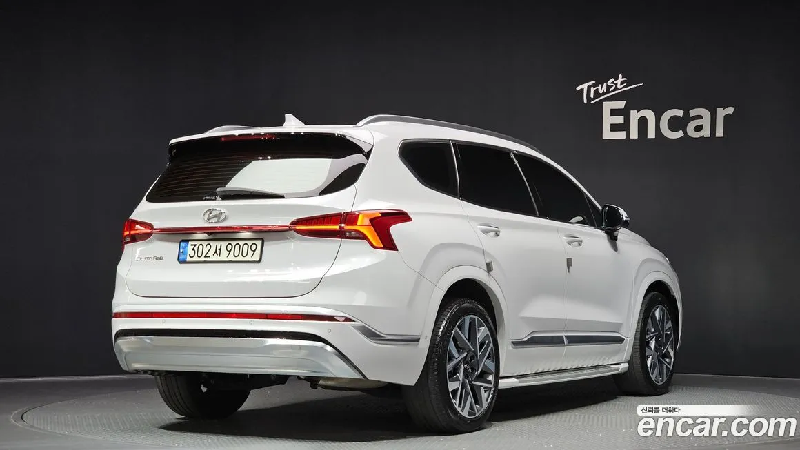 Hyundai Santafe 2021 из KR, фото 6
