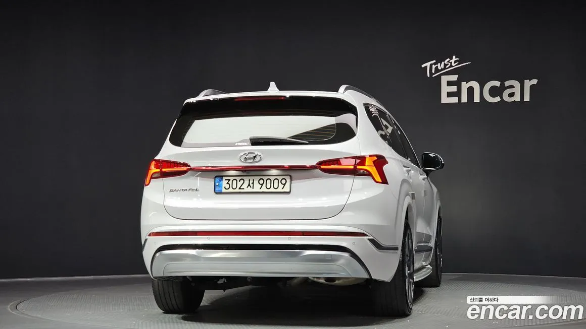 Hyundai Santafe 2021 из KR, фото 4