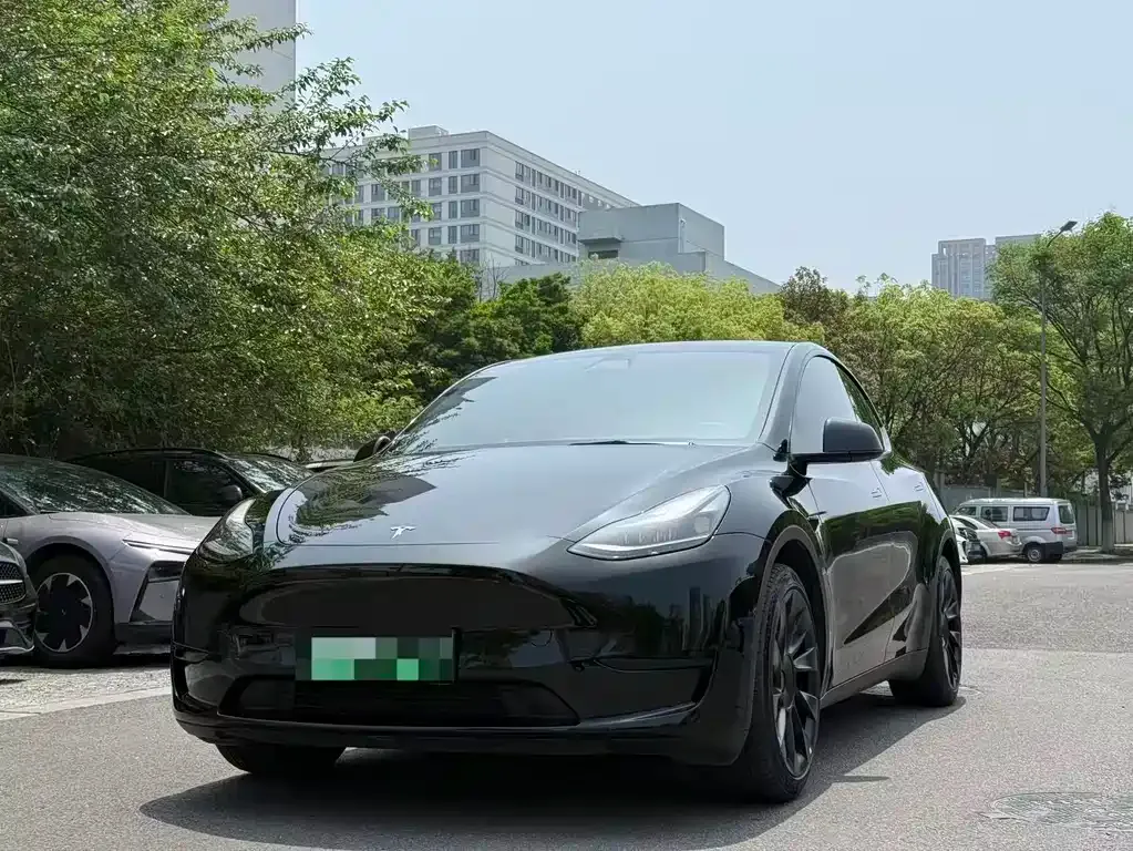 Tesla Model Y — фото 1
