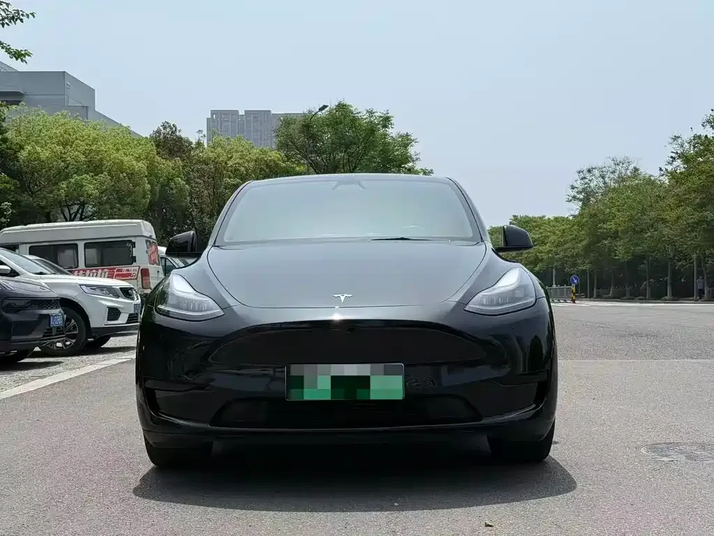 Tesla Model Y — фото 2