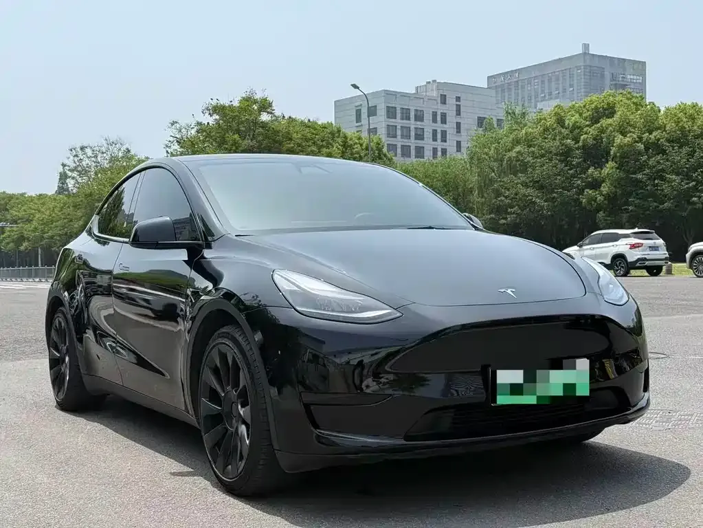 Tesla Model Y — фото 3