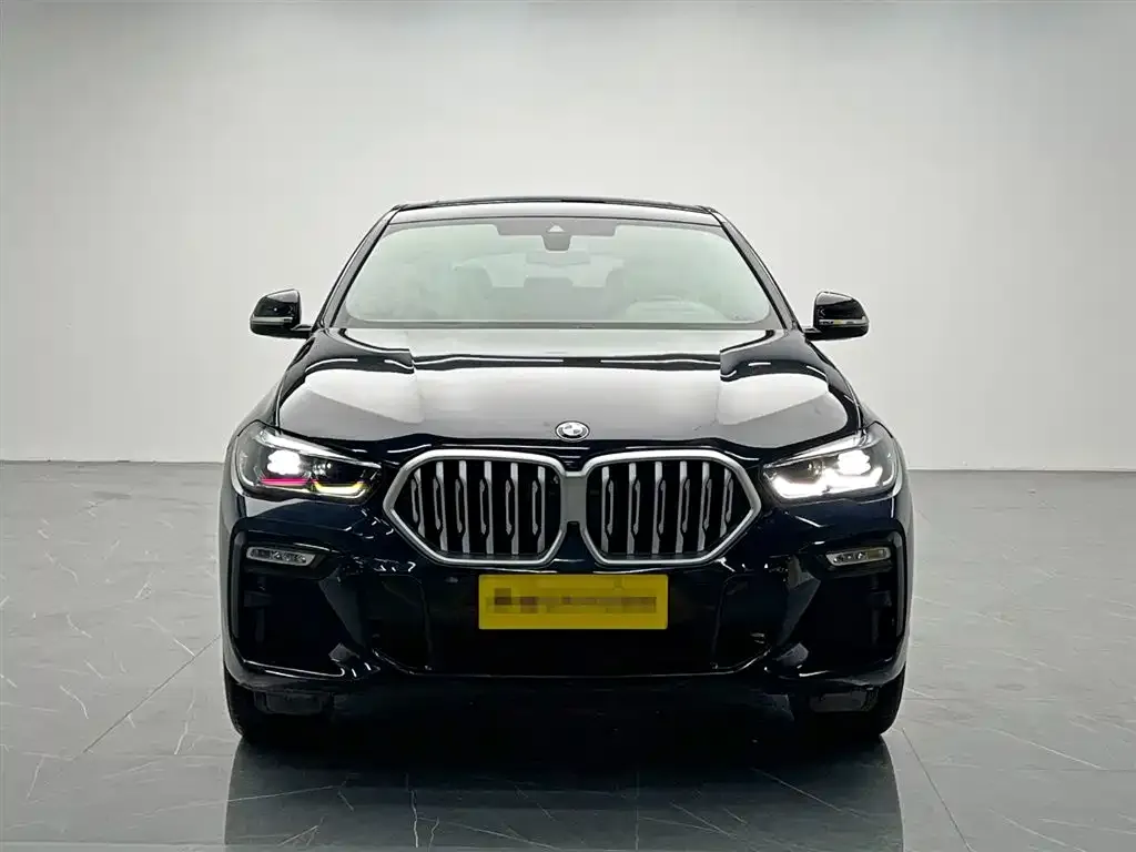 BMW X6 2021 из CN, фото 4
