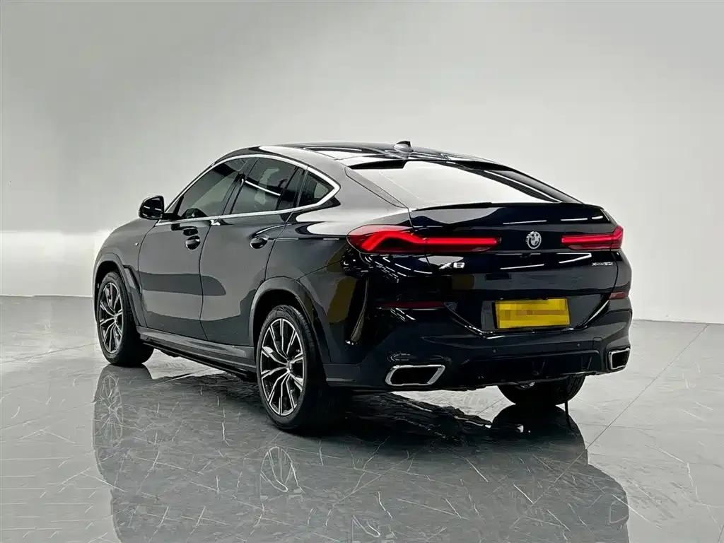 BMW X6 2021 из CN, фото 6