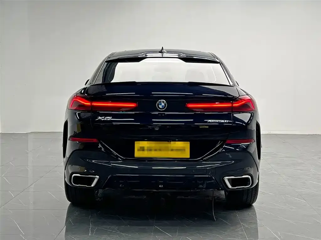 BMW X6 2021 из CN, фото 3