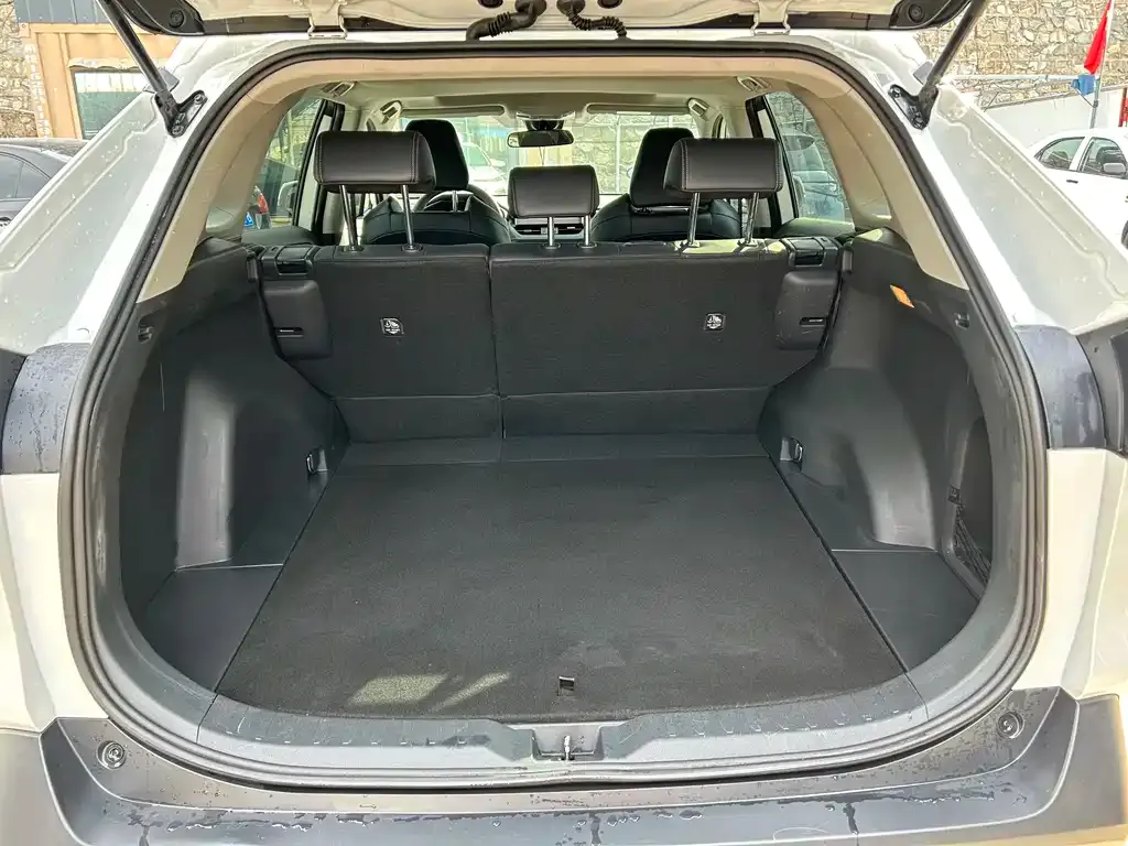 Toyota Wildlander 2022 из CN, фото 7