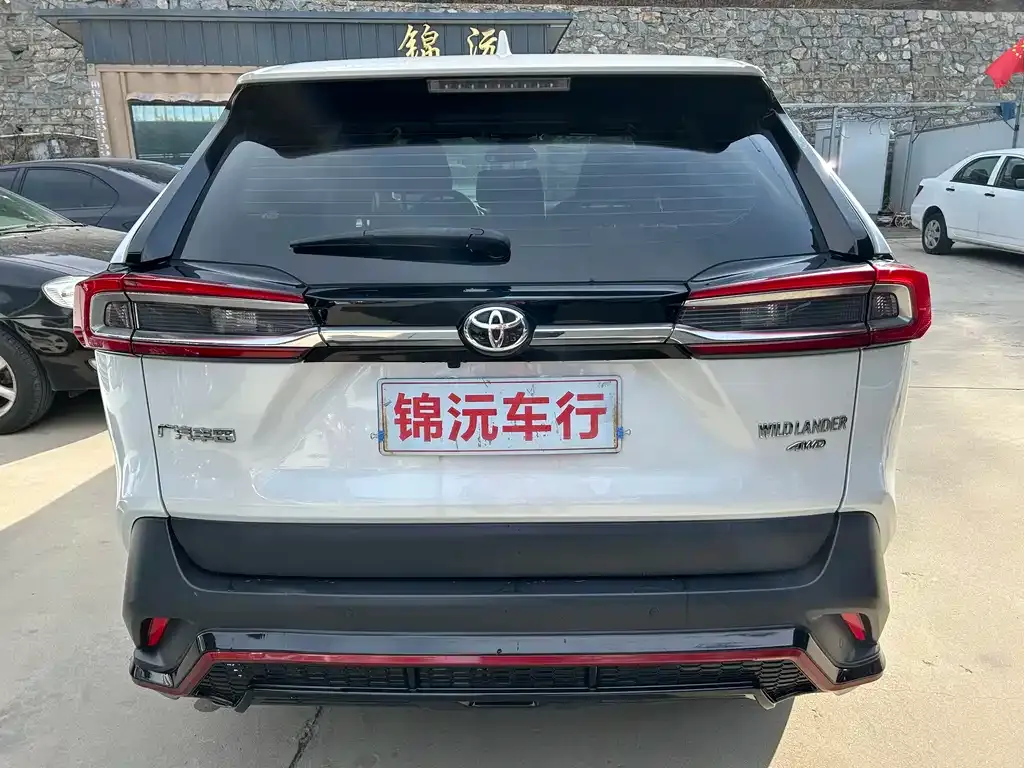 Toyota Wildlander 2022 из CN, фото 5