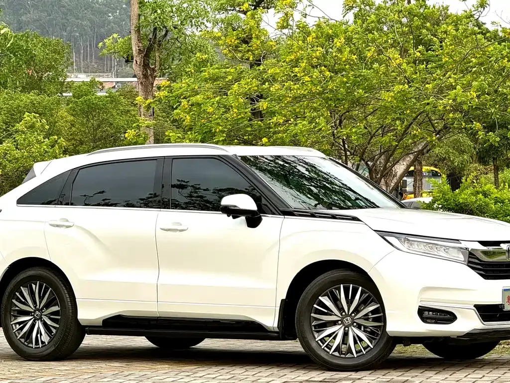 Honda Avancier 2023 из CN, фото 8