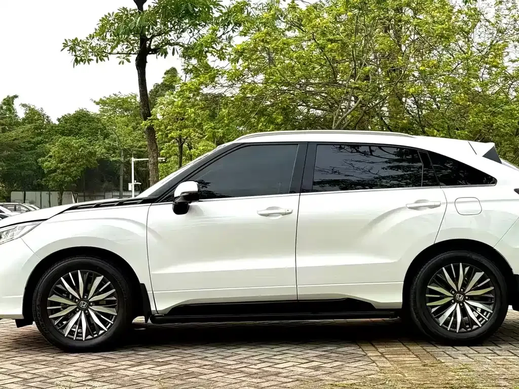 Honda Avancier 2023 из CN, фото 3