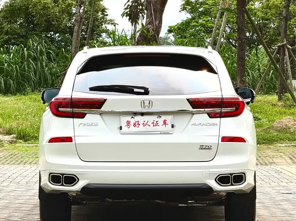 Honda Avancier 2023 из CN, фото 10