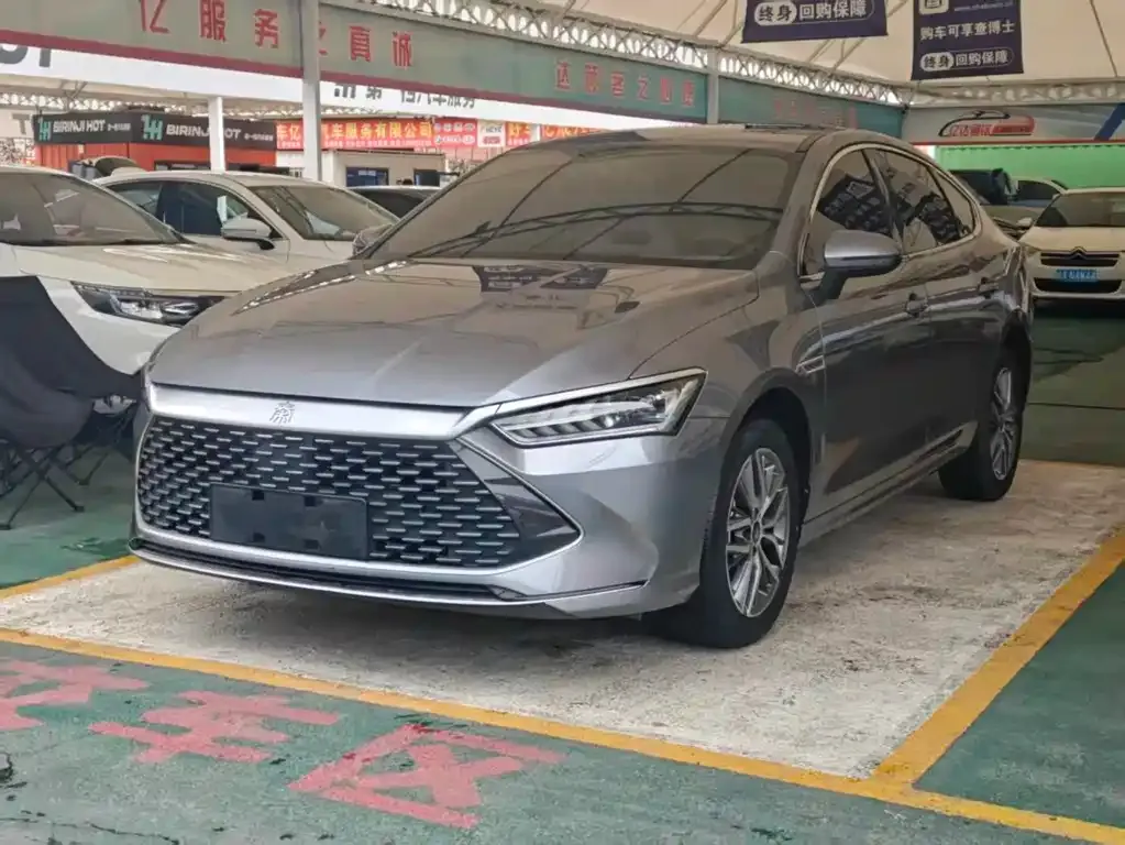 BYD Qin PLUS — фото 1