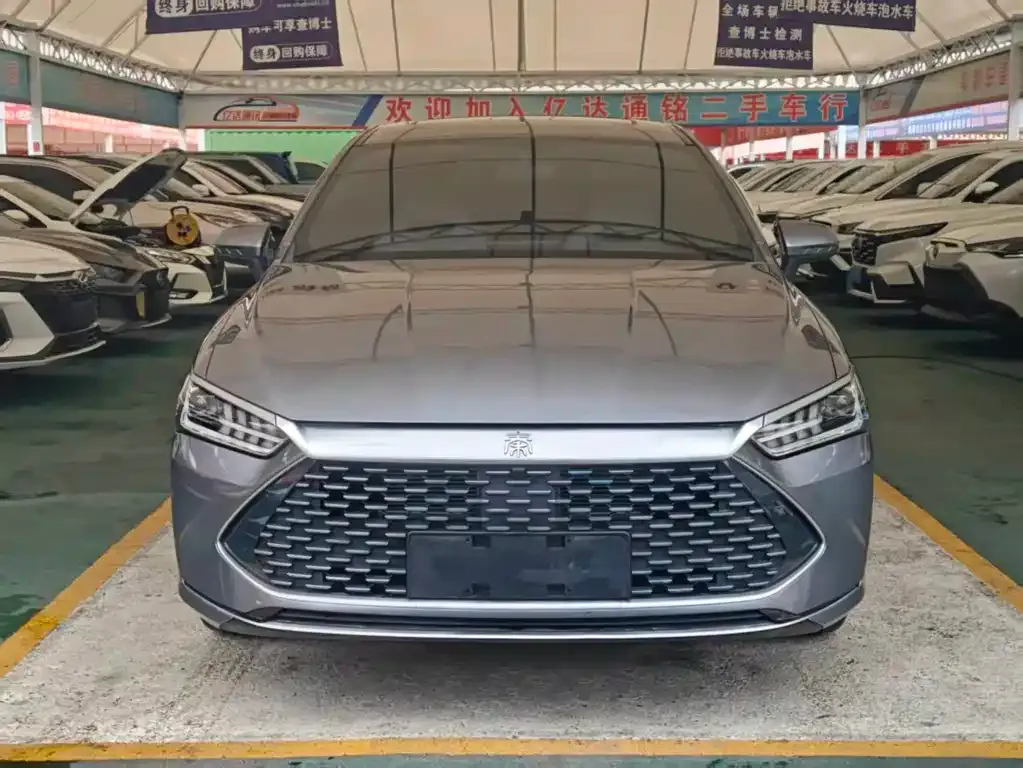 BYD Qin PLUS — фото 3