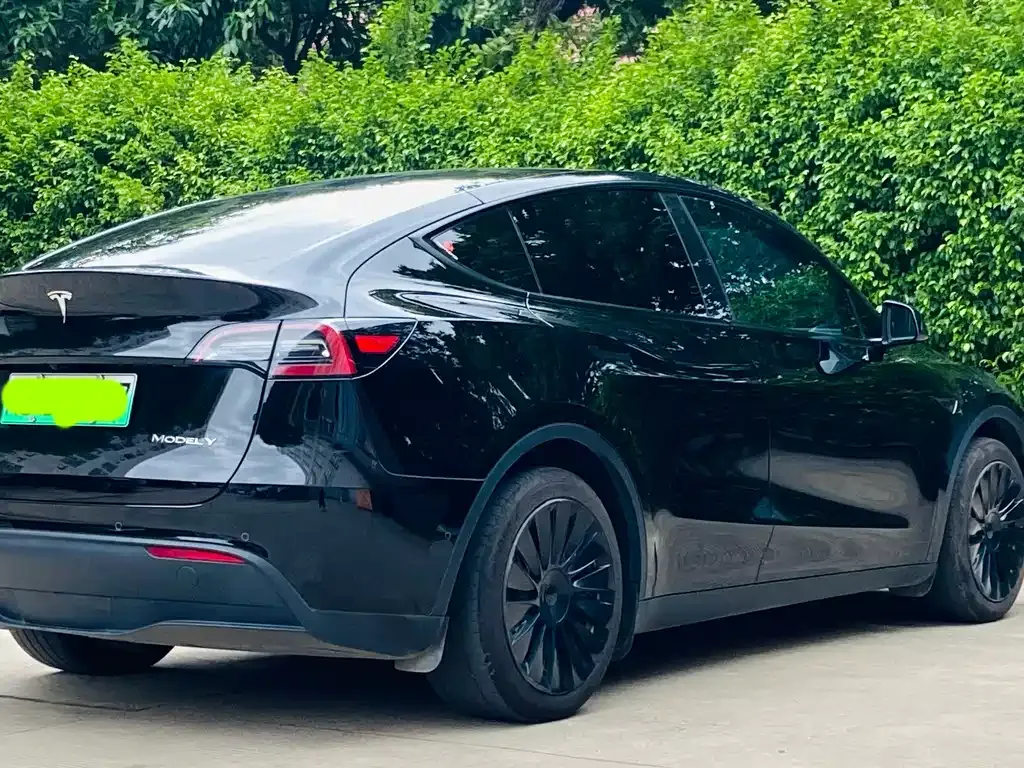 Tesla Model Y — фото 5