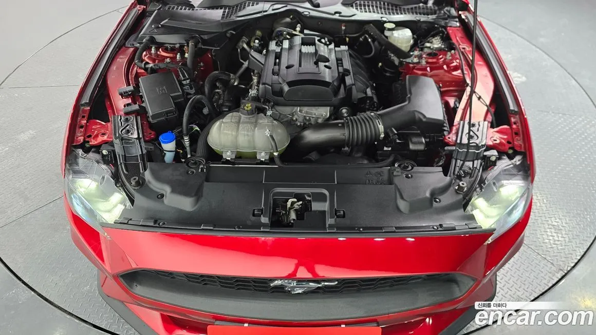 Ford Mustang 2023 из KR, фото 5