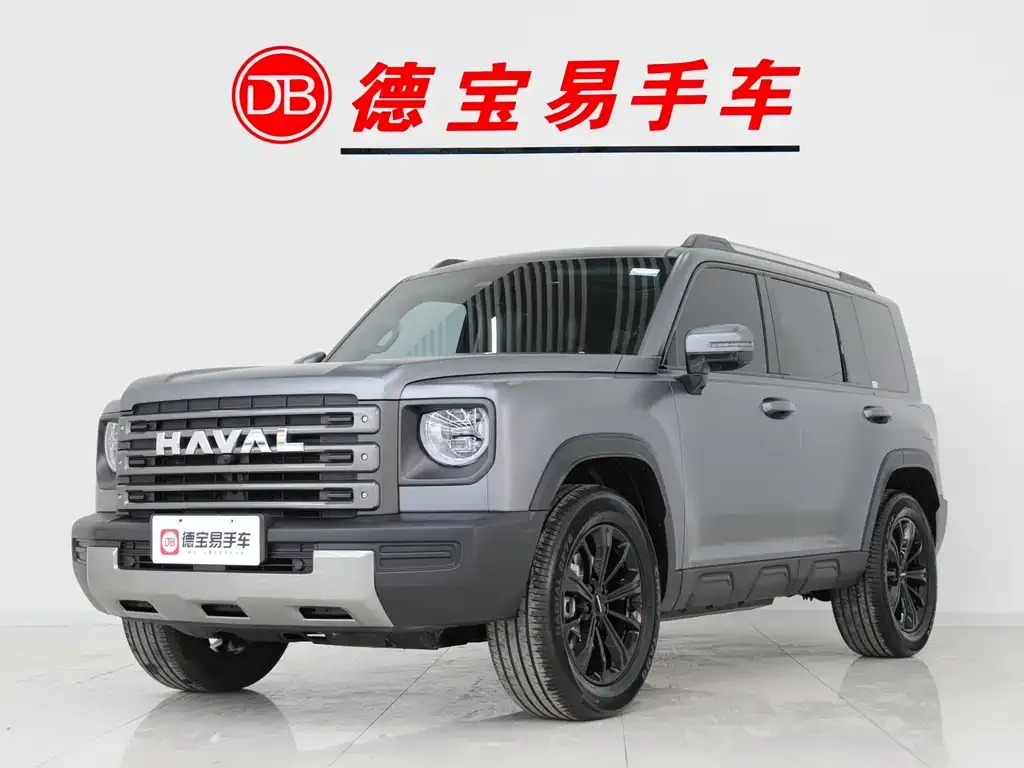 Haval Menglong New Energy 2025 из CN, фото 1