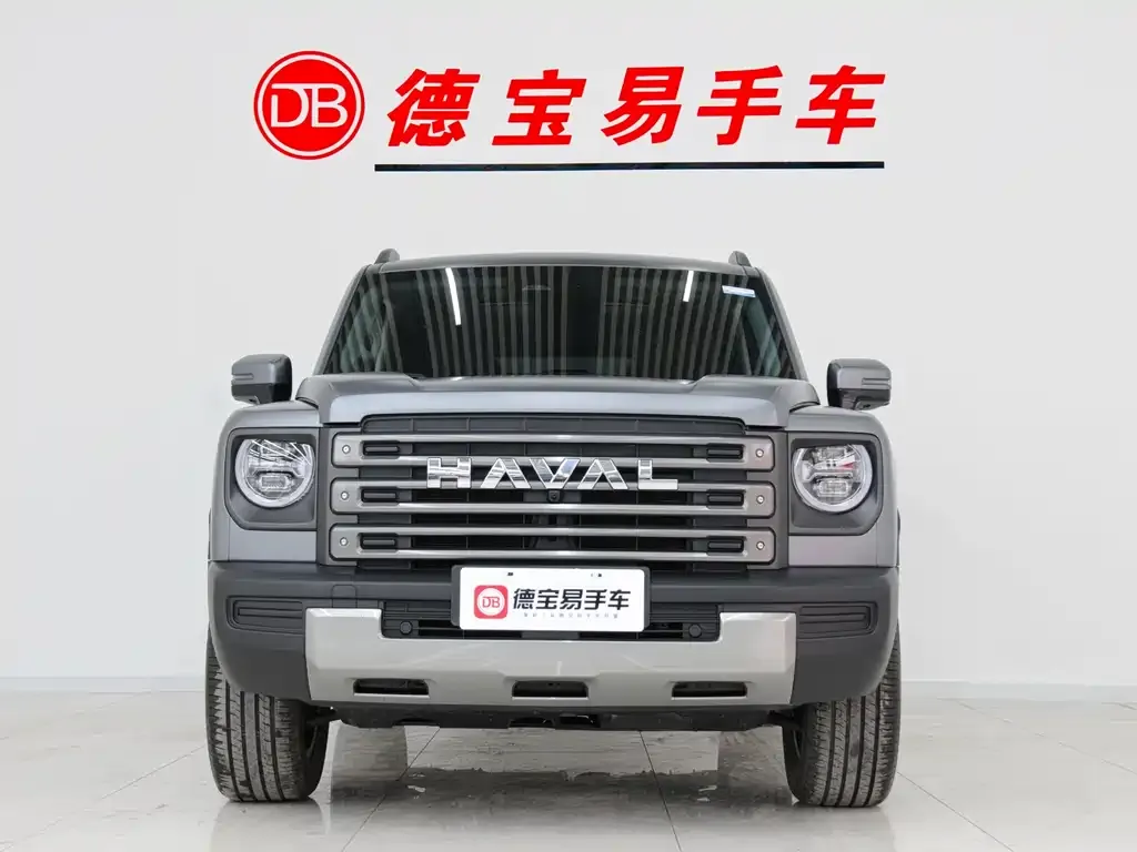 Haval Menglong New Energy 2025 из CN, фото 6