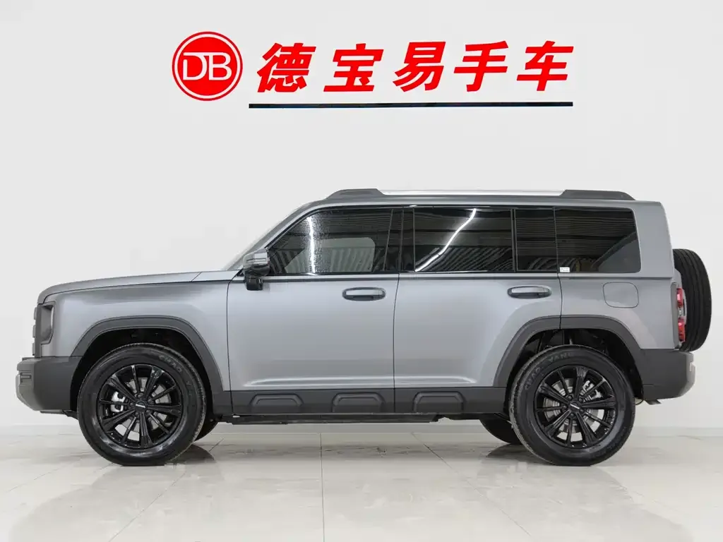 Haval Menglong New Energy 2025 из CN, фото 3