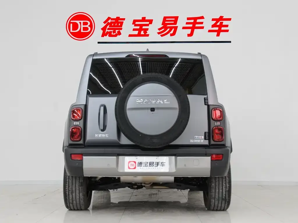 Haval Menglong New Energy 2025 из CN, фото 7