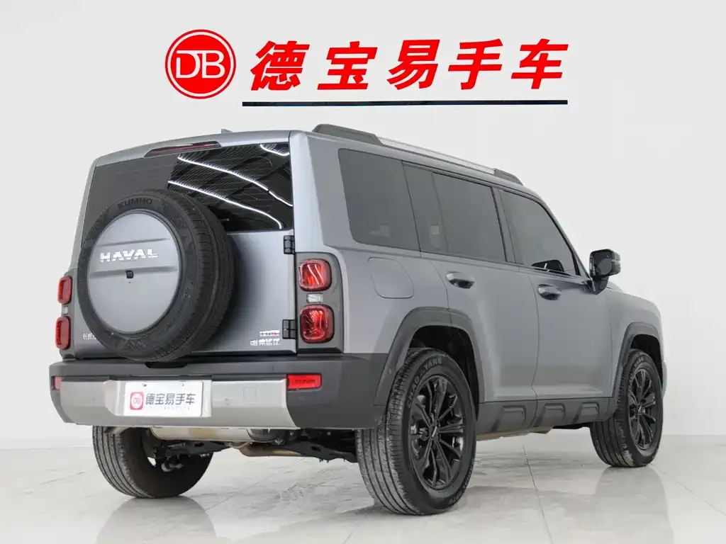 Haval Menglong New Energy 2025 из CN, фото 2