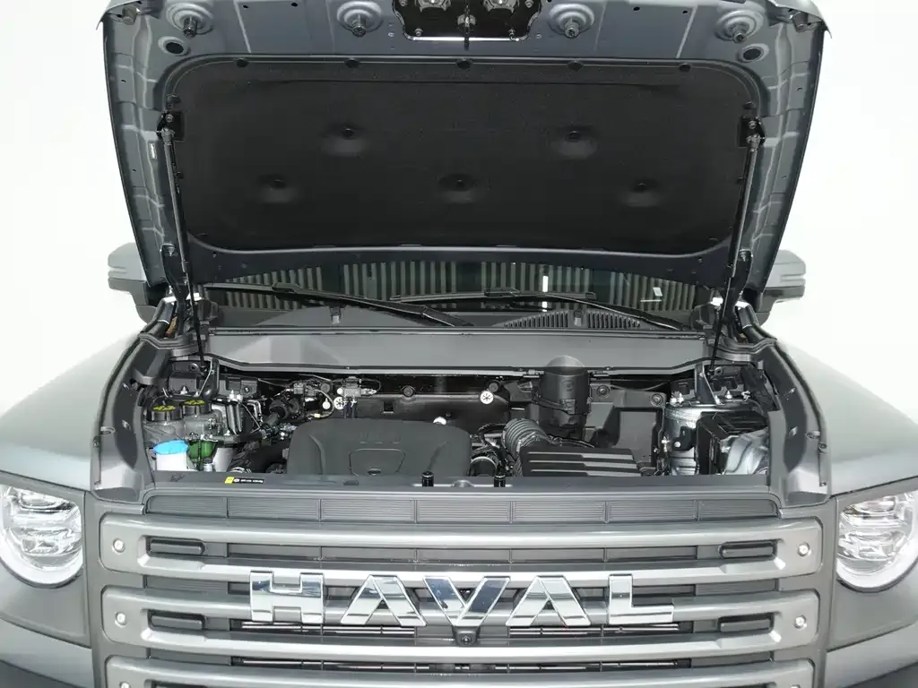 Haval Menglong New Energy 2025 из CN, фото 5