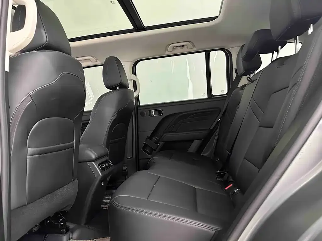 Haval Menglong New Energy 2025 из CN, фото 4