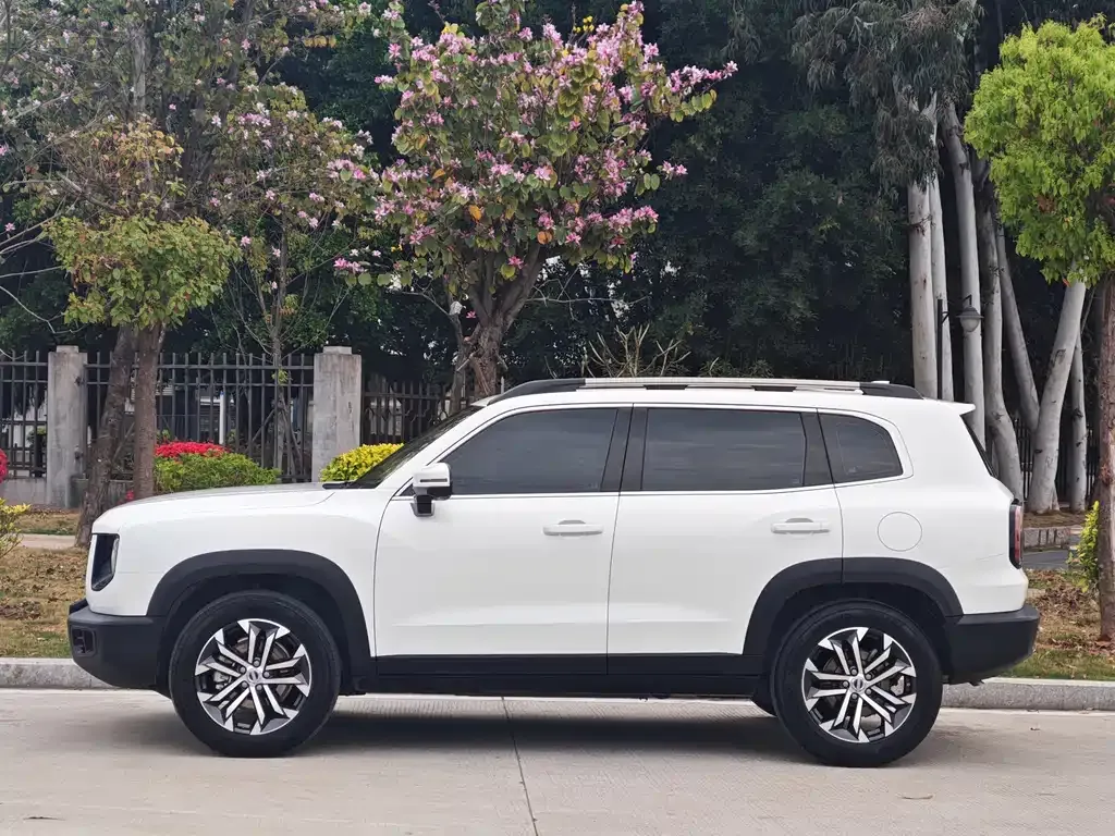 Haval Big Dog — фото 10