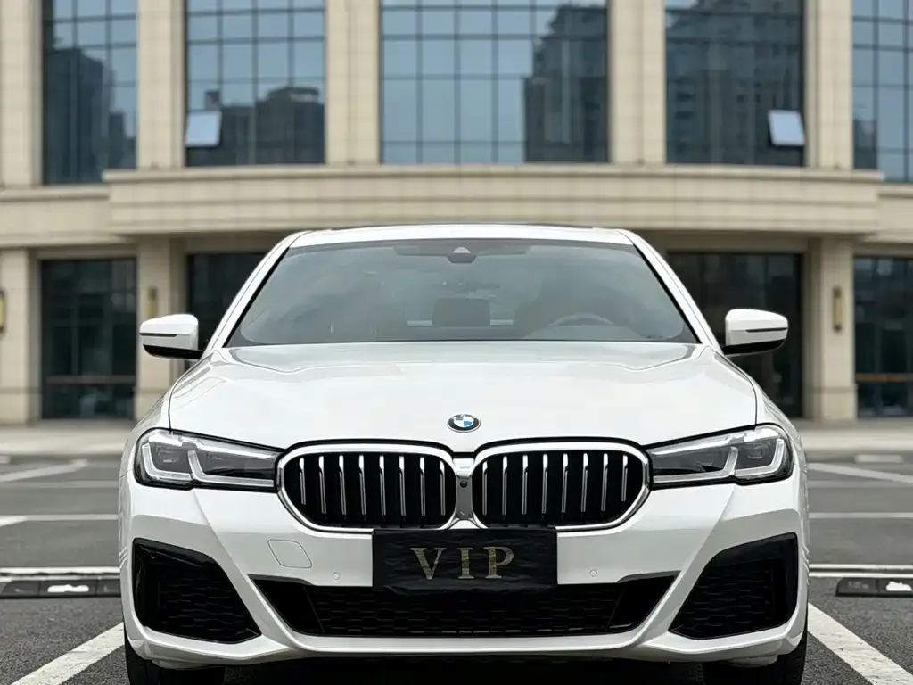 BMW 5 Series 2022 из CN, фото 3
