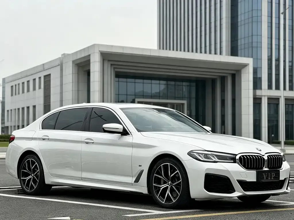 BMW 5 Series 2022 из CN, фото 6