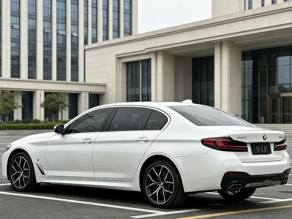 BMW 5 Series 2022 из CN, фото 8