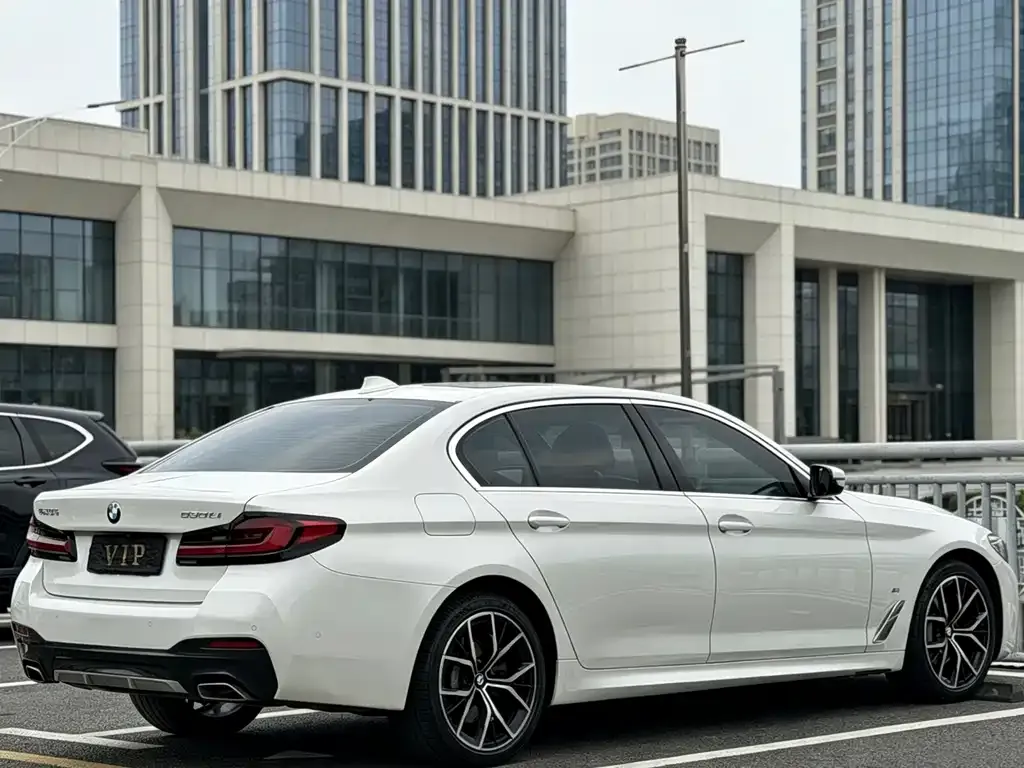 BMW 5 Series 2022 из CN, фото 4