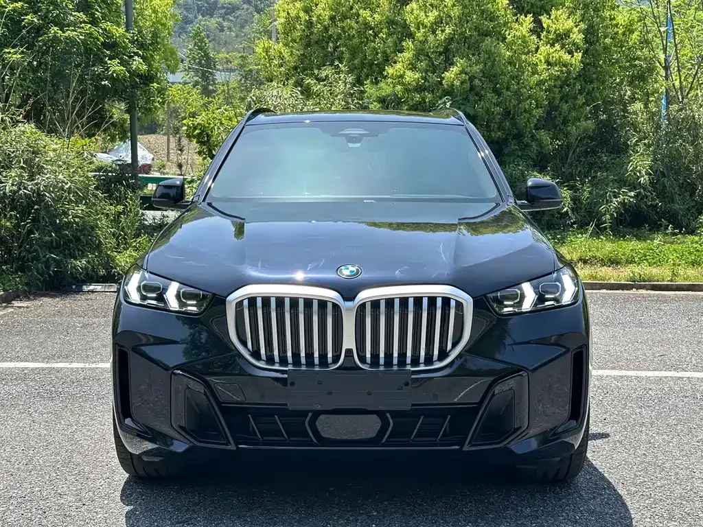 BMW X5 2024 из CN, фото 9
