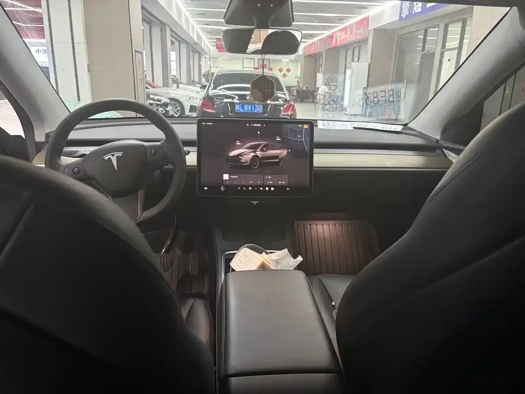 Tesla Model Y 2024 из CN, фото 9