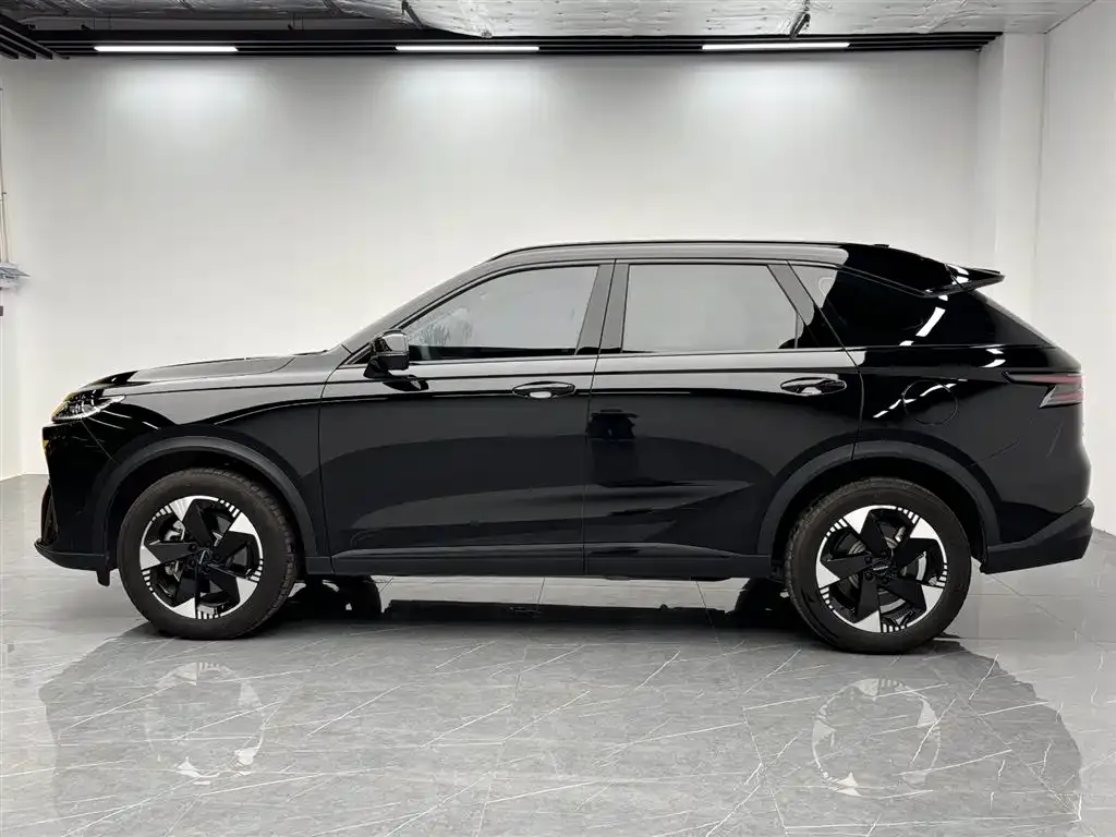 Haval Xiaolong MAX 2025 из CN, фото 6