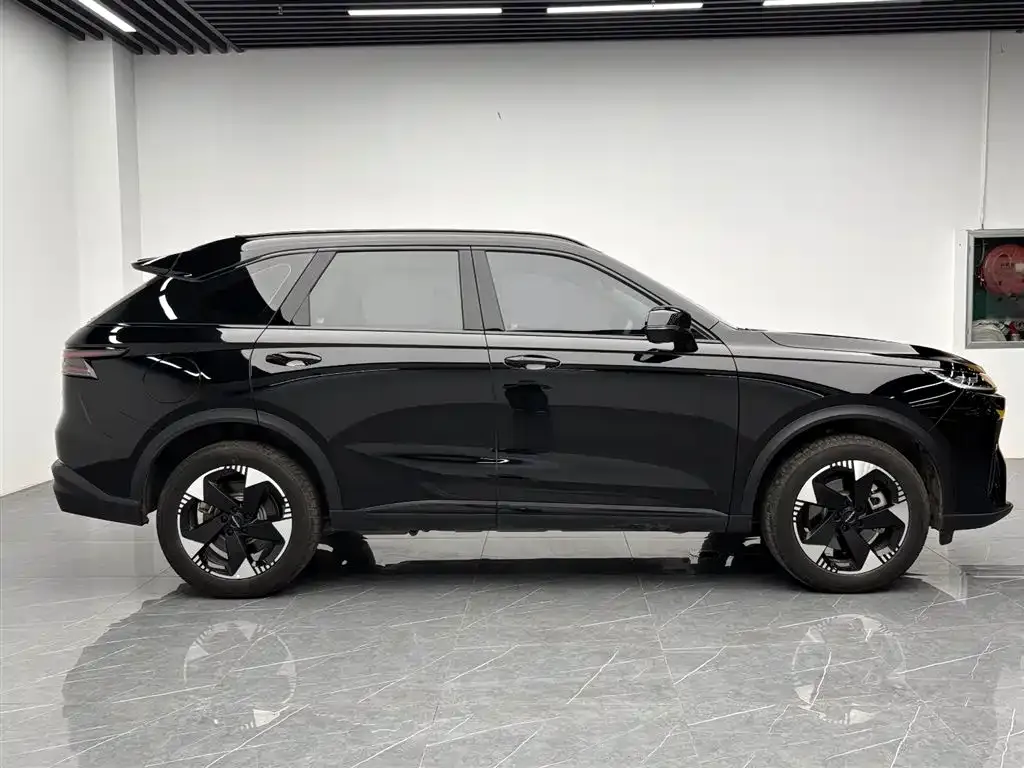 Haval Xiaolong MAX 2025 из CN, фото 4