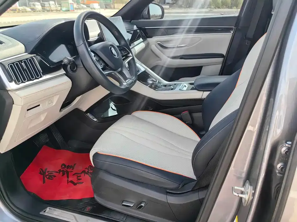 BYD PLUS New Energy — фото 10