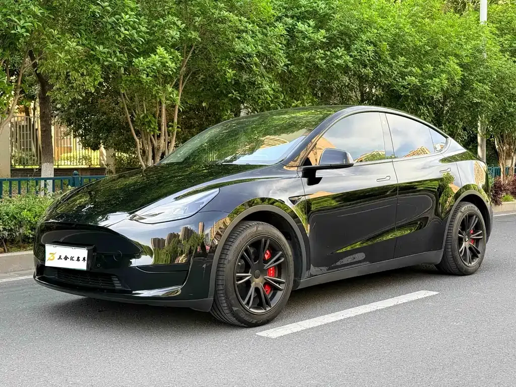 Tesla Model Y — фото 1