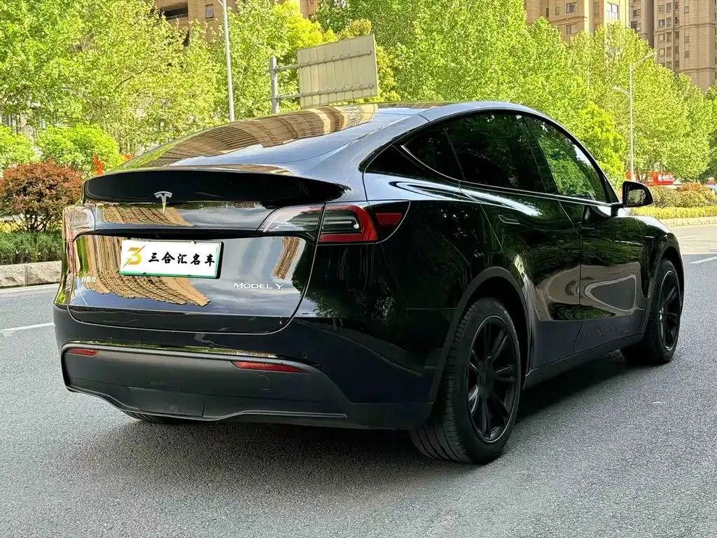Tesla Model Y — фото 10