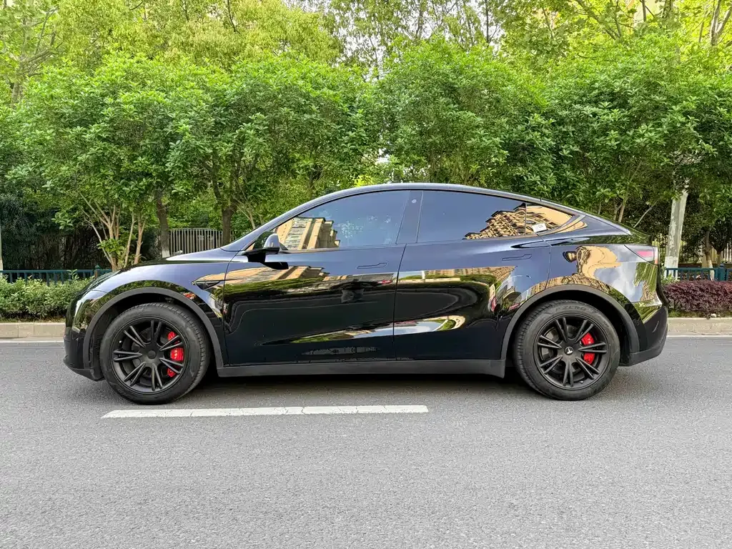 Tesla Model Y — фото 9