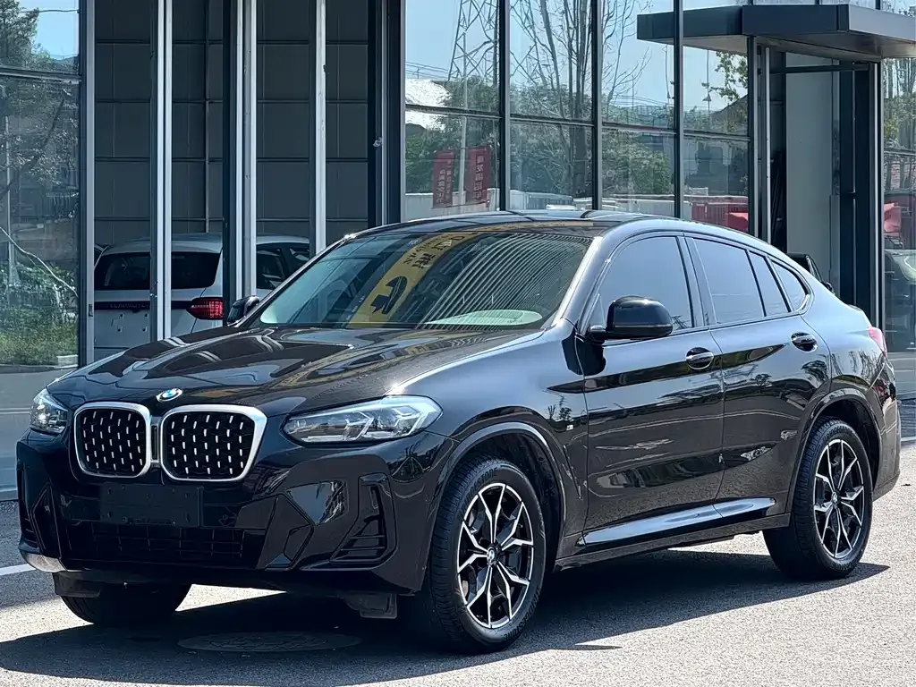 BMW X4 — фото 1