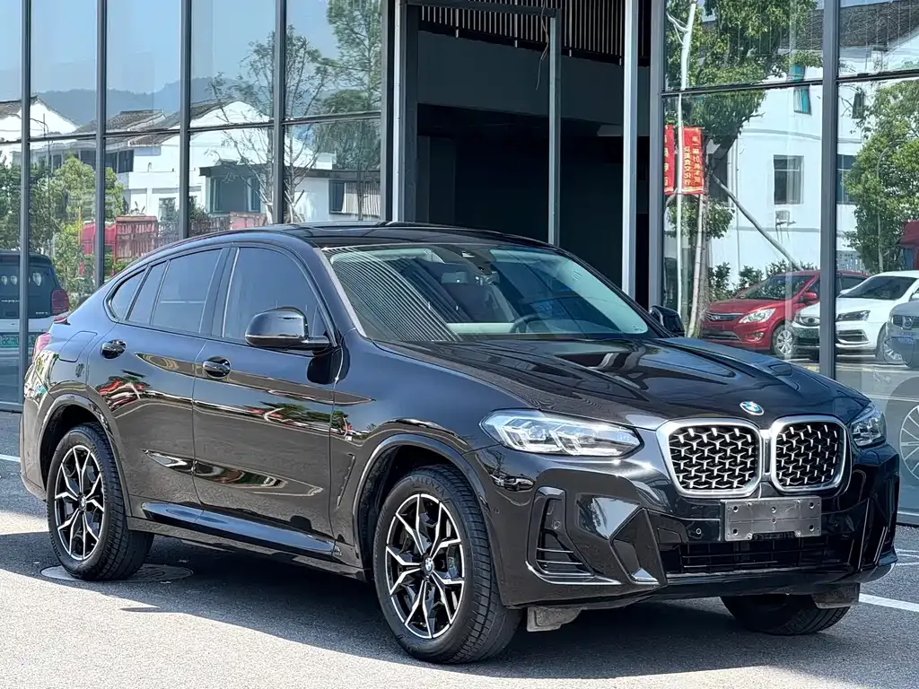 BMW X4 — фото 9