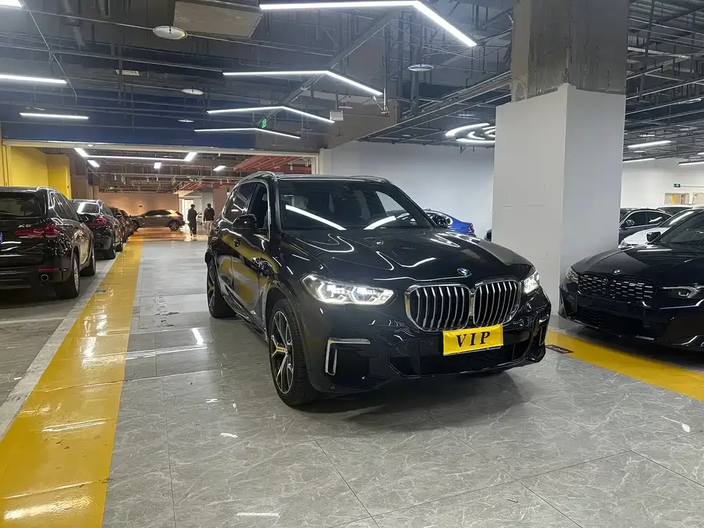 BMW X5 (Import) 2021 из CN, фото 9