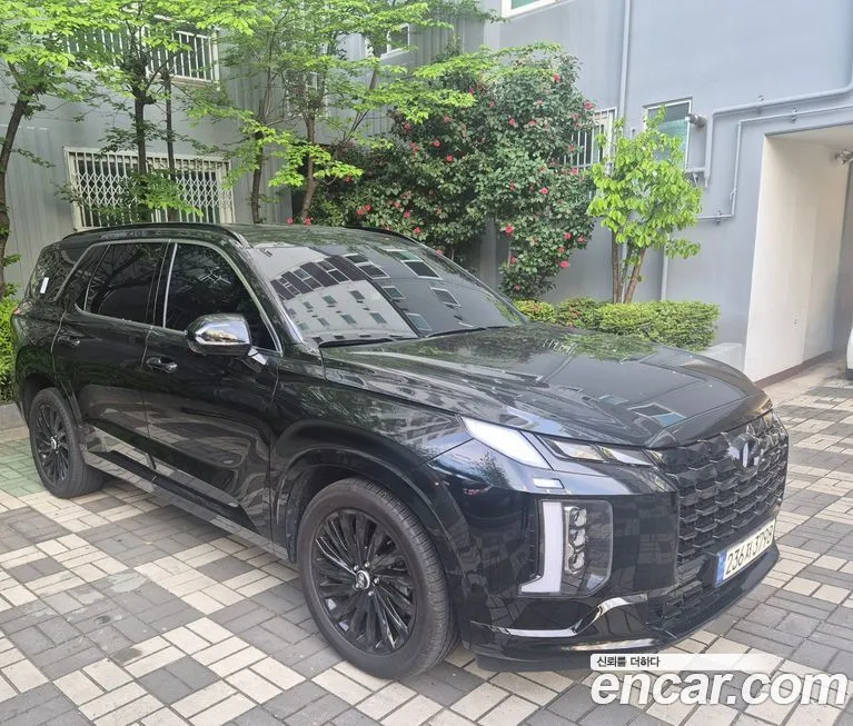 Hyundai Palisade — фото 10