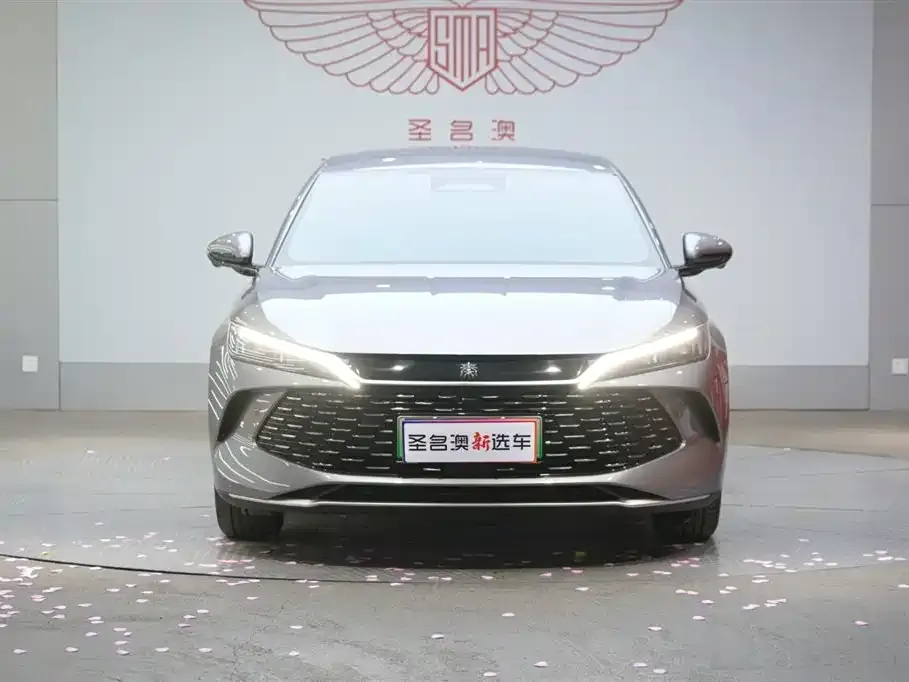 BYD Qin L 2025 из CN, фото 3