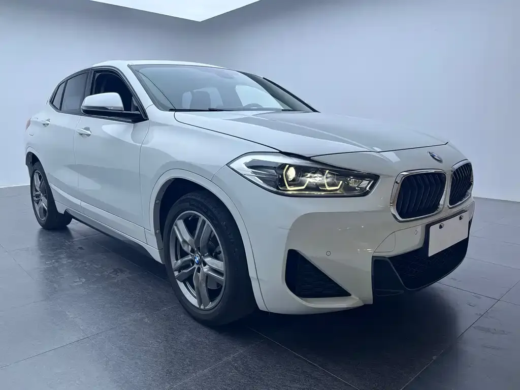 BMW X2 2021 из CN, фото 4