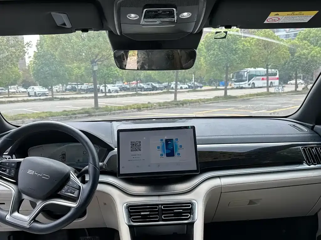 BYD PLUS New Energy 2023 из CN, фото 3